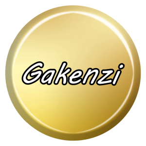 Gálvez web Design gakenzi